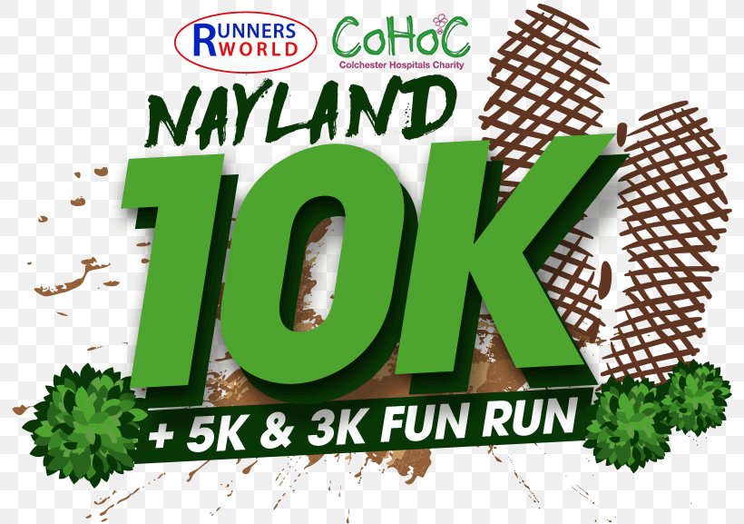 P H D Chiropractic Nayland Fun Run Acupuncture, PNG, 800x577px, 10k Run, Fun Run, Acupuncture, Brand, Charitable Organization Download Free