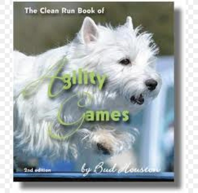 West Highland White Terrier Glen Cairn Terrier Companion Dog Dog Breed, PNG, 800x800px, West Highland White Terrier, Breed, Cairn, Cairn Terrier, Carnivoran Download Free
