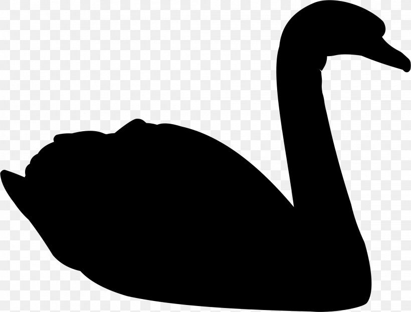 Duck Bird Goose Paper Pattern, PNG, 2266x1724px, Duck, Beak, Bird, Black Swan, Ducks Geese And Swans Download Free