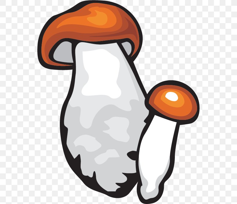Mushroom Shiitake Clip Art, PNG, 562x706px, Mushroom, Artwork, Designer, Fungus, Gratis Download Free