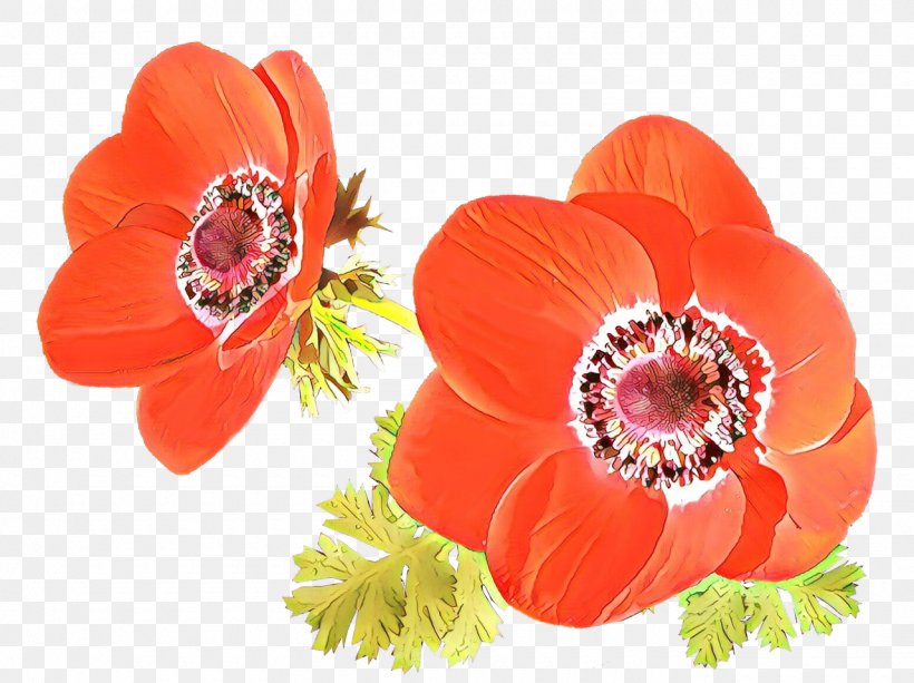 Orange, PNG, 1280x957px, Cartoon, Anemone, Coquelicot, Flower, Hair Accessory Download Free