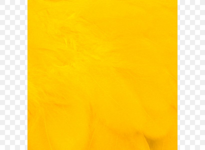 Rectangle, PNG, 800x600px, Rectangle, Orange, Yellow Download Free