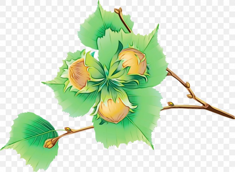 Flower Watercolor, PNG, 1280x935px, Watercolor, Acorn, Aesculus, Artificial Flower, Branch Download Free