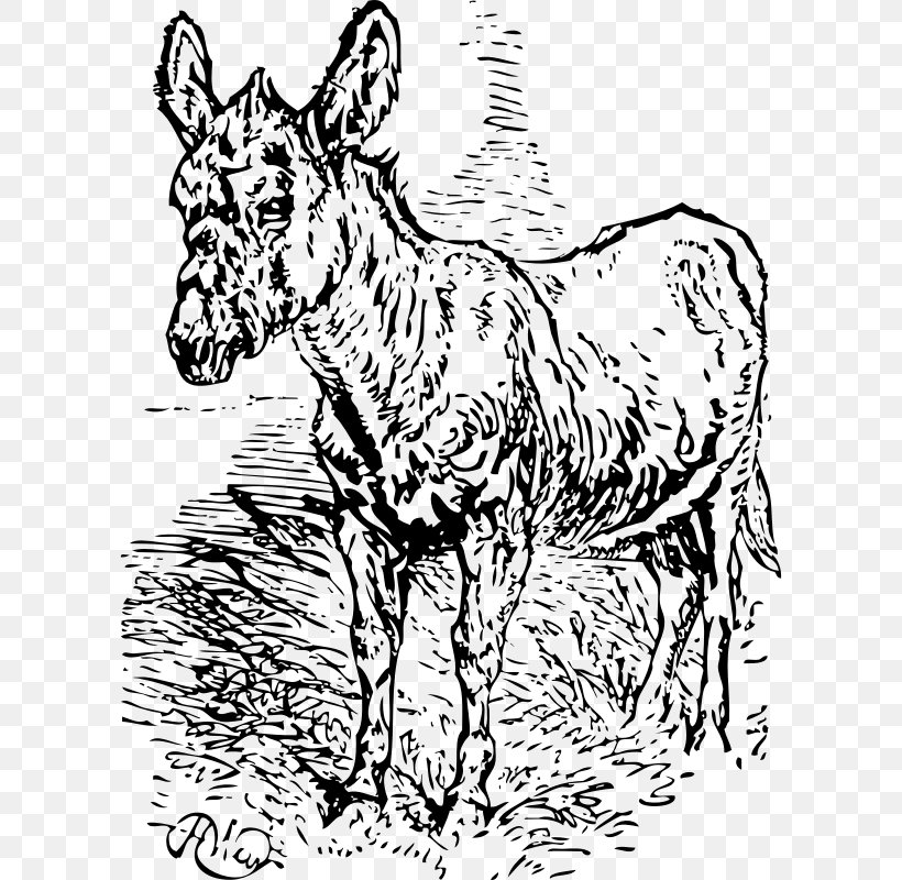 Mule Donkey Horse Clip Art, PNG, 602x800px, Mule, Animal Figure, Art, Black And White, Cattle Like Mammal Download Free