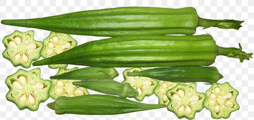 Okra Gumbo African Cuisine Vegetable Bitter Melon, PNG, 1280x607px, Okra, African Cuisine, Bitter Melon, Commodity, Eating Download Free