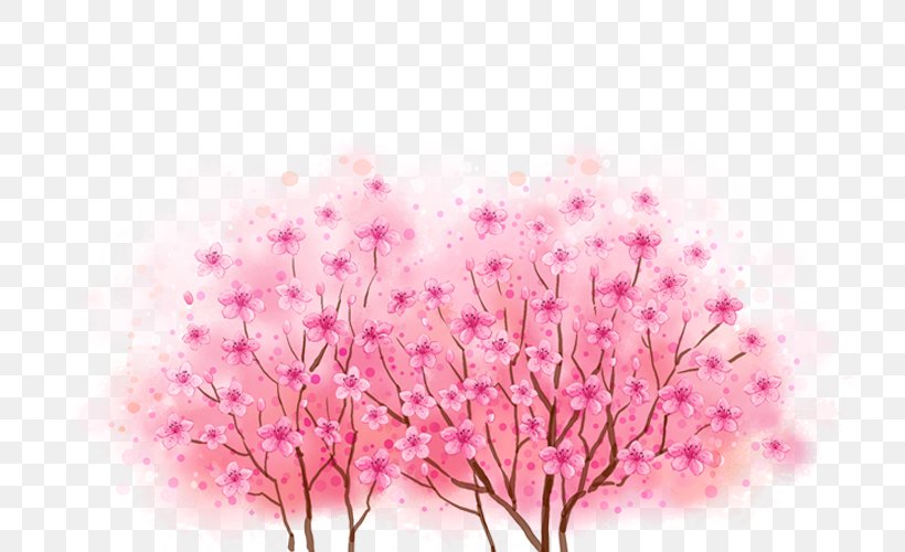 Cherry Blossoms, PNG, 800x500px, Software, Advertising, Blossom, Branch, Cherry Blossom Download Free
