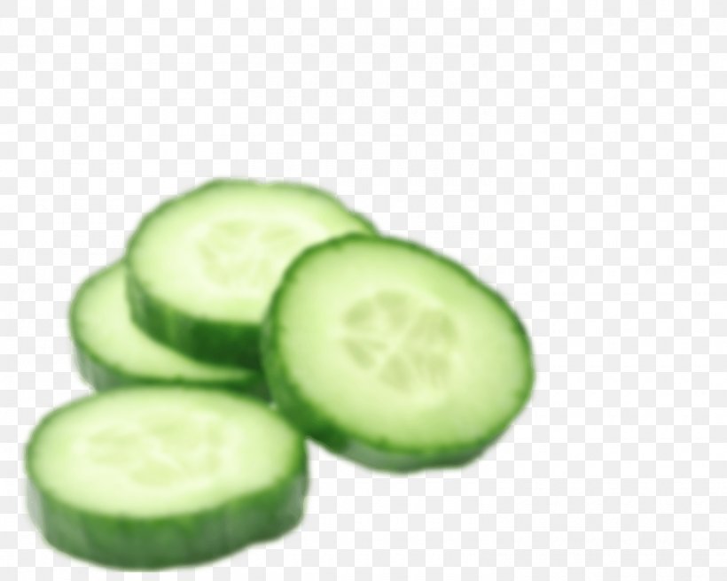 Cucumber Vegetable Fruit Zucchini Watermelon, PNG, 1510x1208px, Cucumber, Cucumber Gourd And Melon Family, Cucumis, Extract, Food Download Free