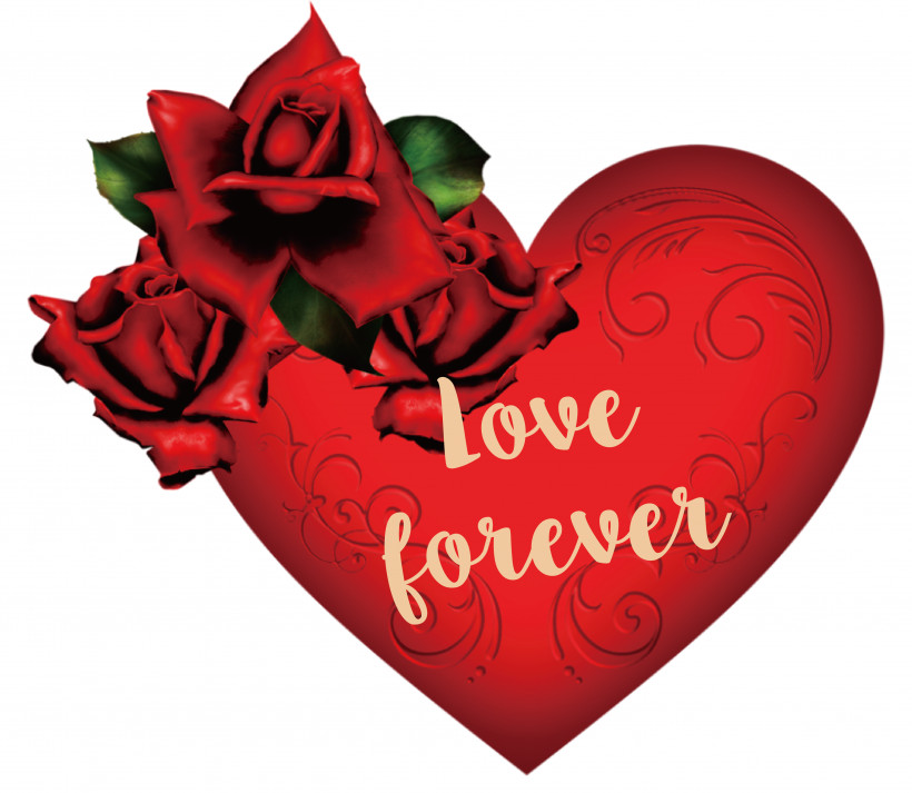 Garden Roses, PNG, 4267x3713px, Rose, Cut Flowers, Floral Design, Flower, Flower Bouquet Download Free