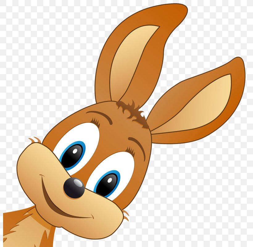 Hare Easter Bunny Clip Art Vector Graphics Illustration, PNG, 800x800px, Hare, Animated Cartoon, Animation, Cartoon, Drawing Download Free