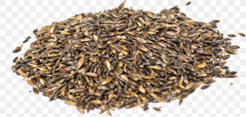 Nilgiri Tea Hōjicha Seed Fennel Flower Commodity, PNG, 1252x600px, Nilgiri Tea, Assam Tea, Black Cumin, Ceylon Tea, Chun Mee Tea Download Free