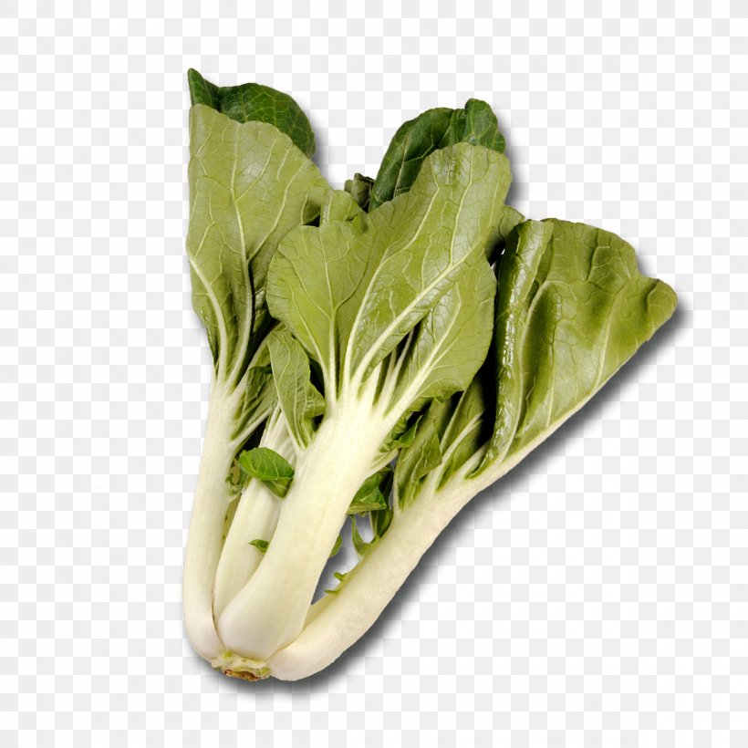 Romaine Lettuce Chard Spinach Quiche Puff Pastry, PNG, 1200x1200px, Romaine Lettuce, Blanching, Chard, Chinese Broccoli, Choy Sum Download Free