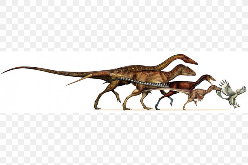 Tyrannosaurus Bird Velociraptor Evolution Of Dinosaurs, PNG, 900x600px, Tyrannosaurus, Animal Figure, Biology, Bipedalism, Bird Download Free