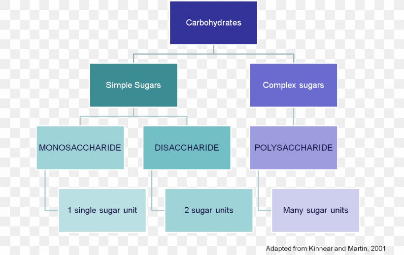 Carbohydrate Hexose Monosaccharide Sugar Pentose, PNG, 1461x923px, Carbohydrate, Brand, Communication, Diagram, Glucose Download Free