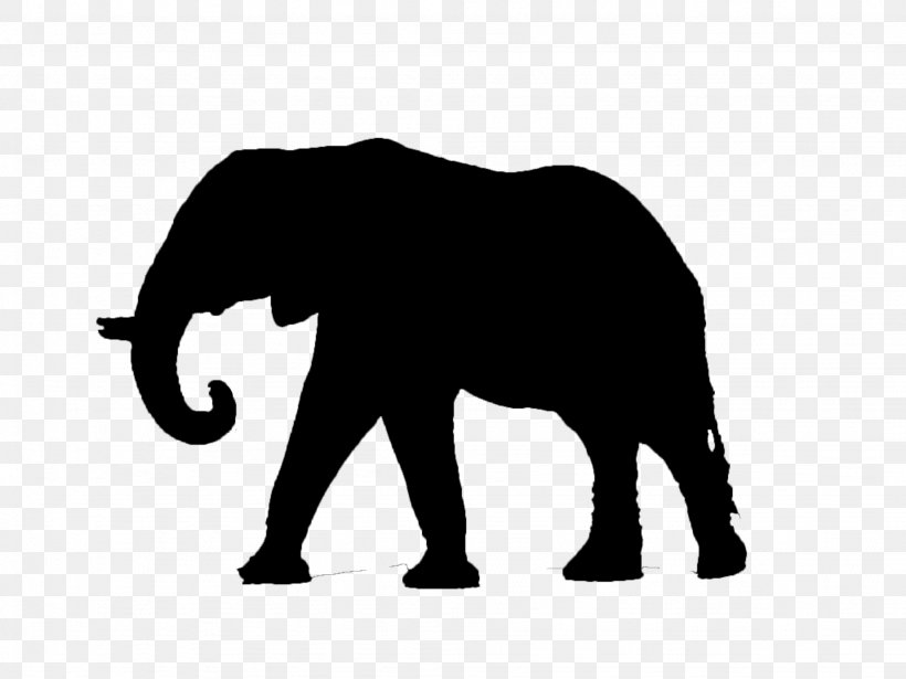 Elephantidae Dwarf Elephant Mammal Clip Art, PNG, 2048x1536px, Elephantidae, African Elephant, Art, Black And White, Drawing Download Free