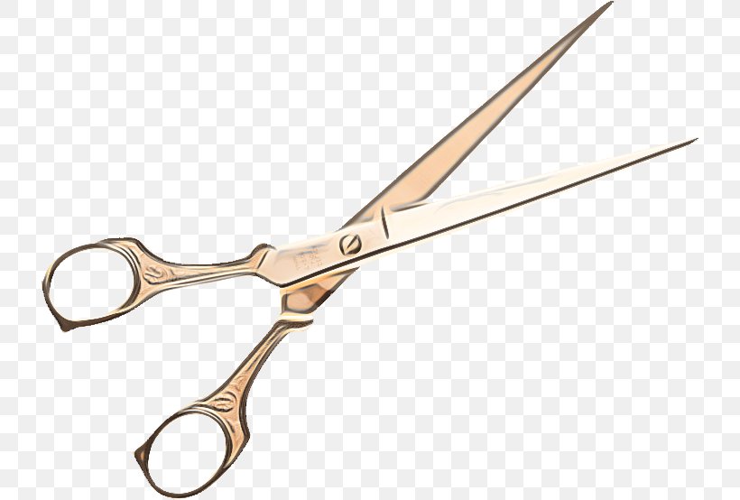 Scissors Cartoon, PNG, 728x554px, Scissors, Cosmetics, Cutting Tool, Hair, Hair Shear Download Free