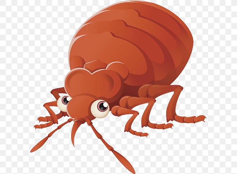Bed Bug Control Techniques Bed Bug Bite Pest Control Clip Art, PNG, 612x603px, Bed Bug, Arthropod, Bed Bug Bite, Bed Bug Control Techniques, Cartoon Download Free