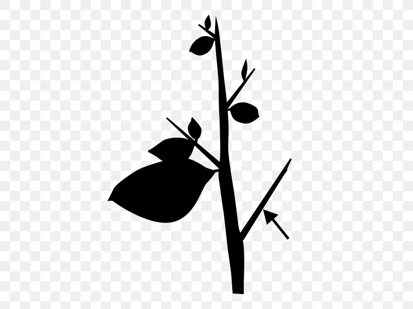 Twig Leaf Plant Stem Botany Clip Art, PNG, 440x615px, Twig, Art, Blackandwhite, Botany, Branch Download Free