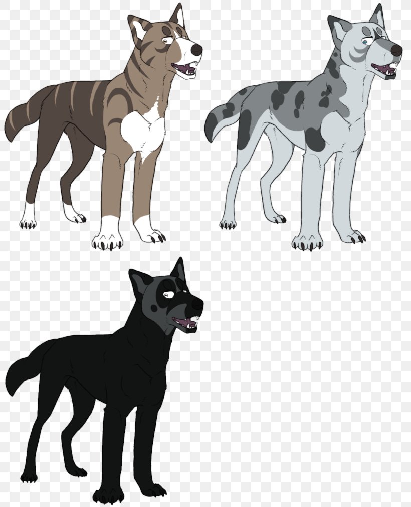 Dog Breed Canaan Dog Siberian Husky Kai Ken Border Collie, PNG, 812x1010px, Dog Breed, Art, Border Collie, Breed, Canaan Dog Download Free