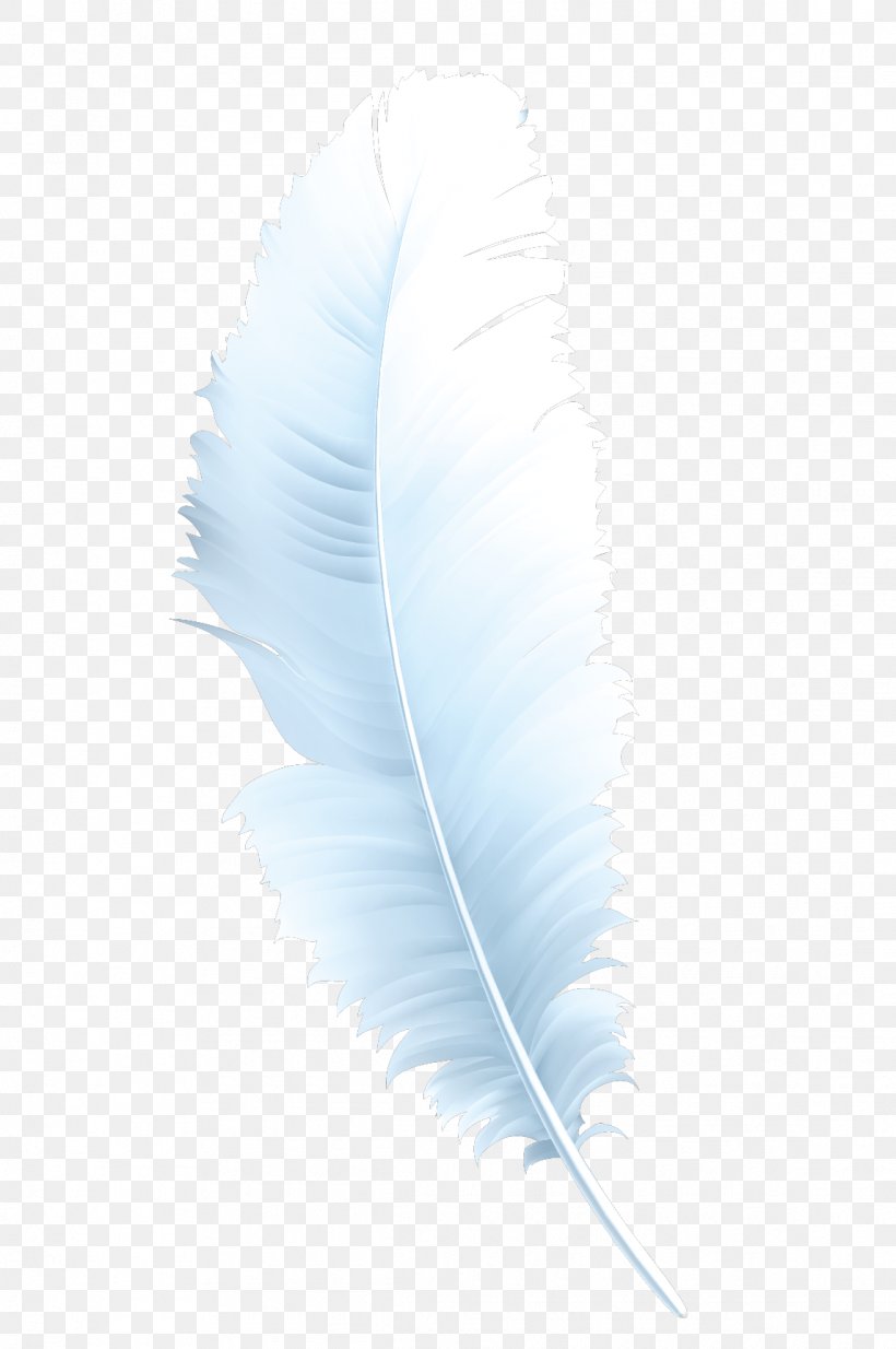 Feather Microsoft Azure, PNG, 1145x1724px, Feather, Material, Microsoft Azure, Wing Download Free