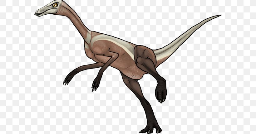 Grande Prairie Velociraptor Philip J. Currie Dinosaur Museum Wapiti Formation, PNG, 600x430px, Grande Prairie, Alberta, Animal, Animal Figure, Beak Download Free