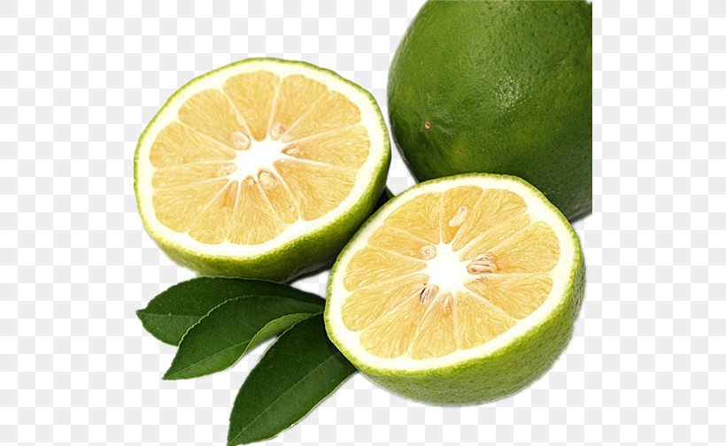 Bergamot Orange Bitter Orange Citron Lemon Citrus Myrtifolia, PNG, 518x504px, Bergamot Orange, Aroma, Auglis, Bitter Orange, Citric Acid Download Free
