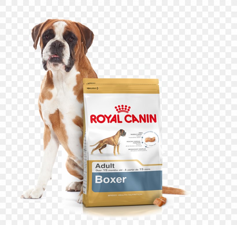 Boxer Golden Retriever Dog Food Puppy Cat Food, PNG, 1103x1046px, Boxer, Breed, Carnivoran, Cat, Cat Food Download Free