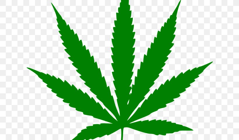 Cannabis Ruderalis Cannabis Sativa Leaf Hemp, PNG, 640x480px, Cannabis Ruderalis, Cannabis, Cannabis Sativa, Cannabis Smoking, Grass Download Free