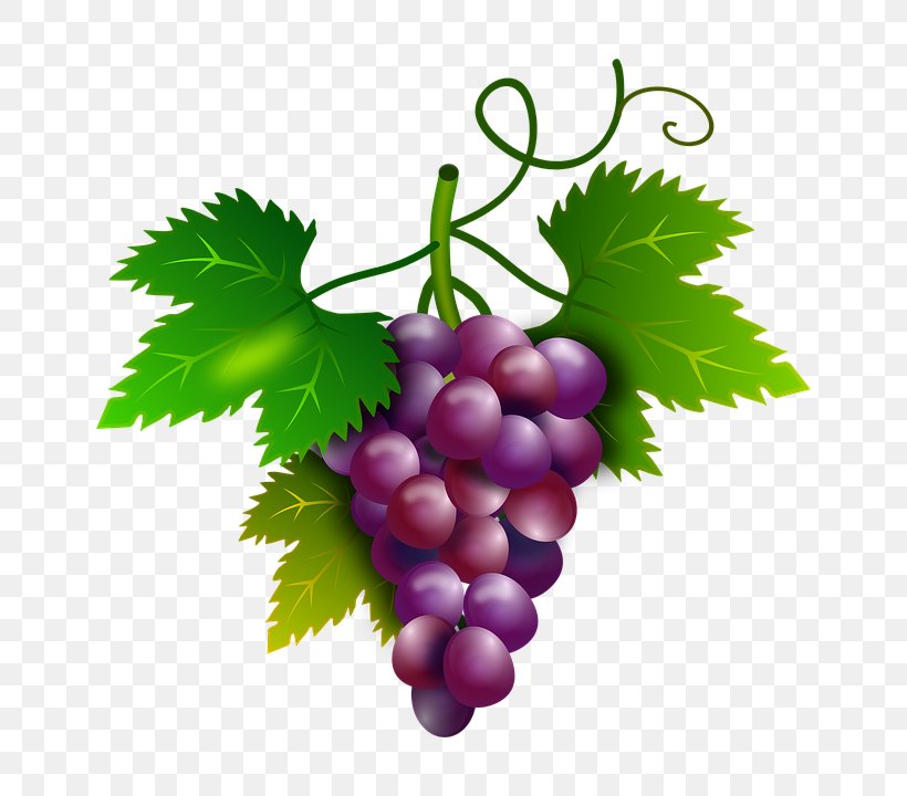 Common Grape Vine Wine Sultana Ruby Roman, PNG, 720x720px, Common Grape Vine, Flowering Plant, Food, Fruit, Grape Download Free