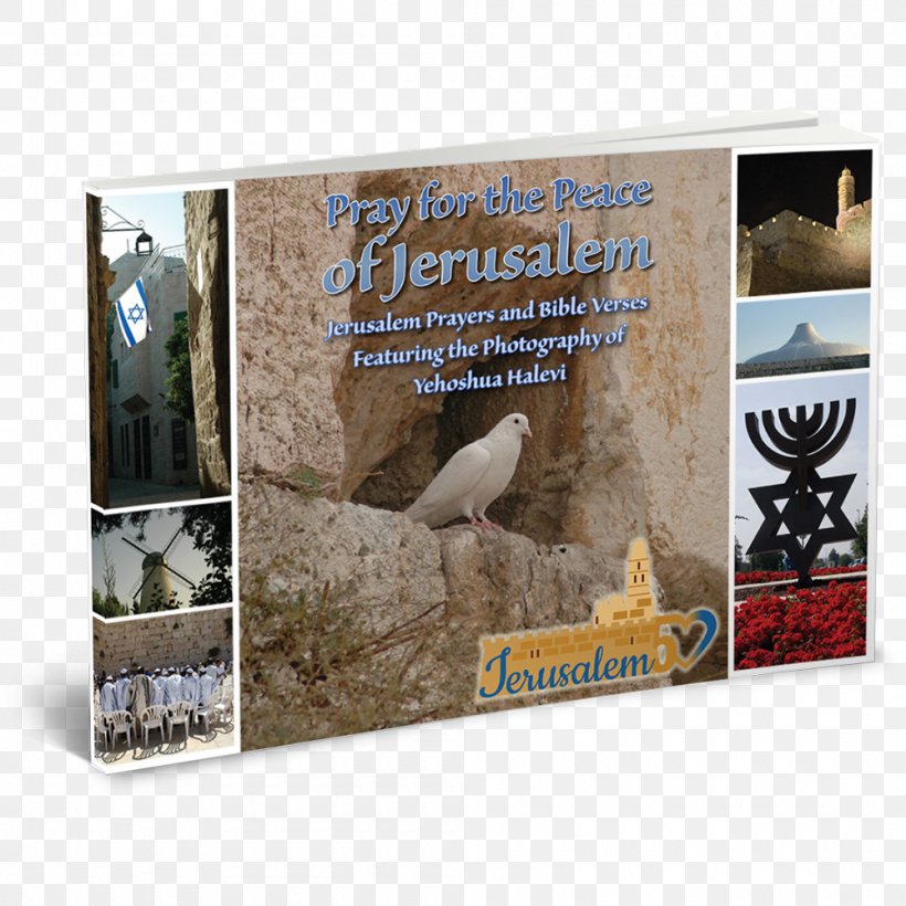 Land Of Israel Book Jerusalem Hardcover Hebrew Language, PNG, 1000x1000px, Land Of Israel, Advertising, Anniversary, Book, David Download Free