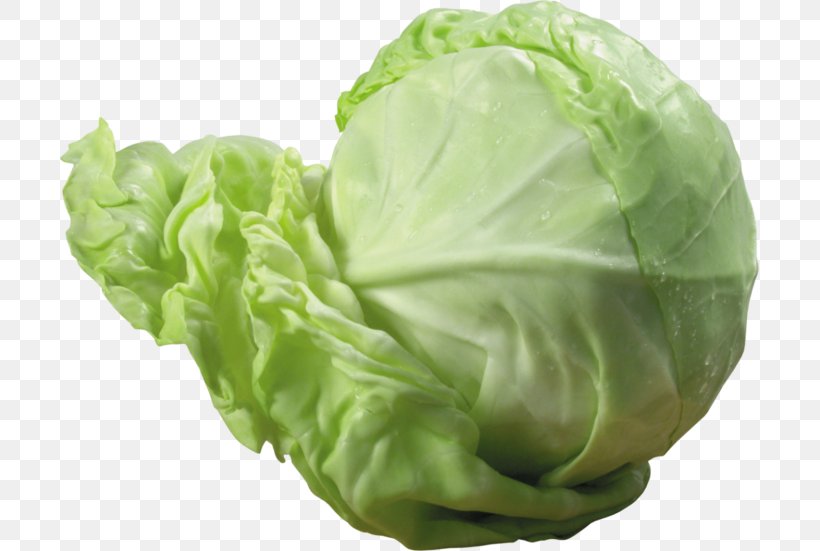 Savoy Cabbage Vegetable Red Cabbage, PNG, 699x551px, Cabbage, Brassica Oleracea, Cauliflower, Collard Greens, Cruciferous Vegetables Download Free