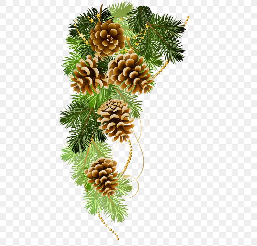 Christmas Ornament Clip Art Christmas Day Christmas Decoration Fir, PNG, 474x784px, Christmas Ornament, Branch, Christmas Day, Christmas Decoration, Christmas Tree Download Free