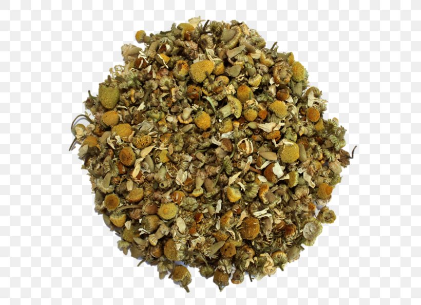 Herbal Tea Spice Antioxidant Phytotherapy, PNG, 600x594px, Herb, Antioxidant, Body, Eating, Expert Download Free