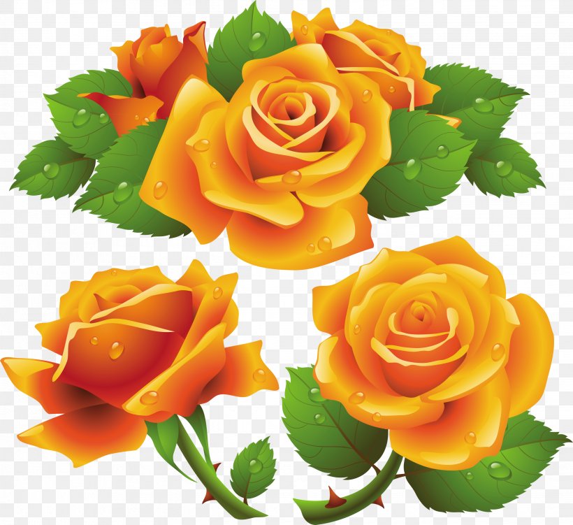 Rose Orange Clip Art, PNG, 2641x2419px, Rose, Color, Cut Flowers, Floral Design, Floribunda Download Free