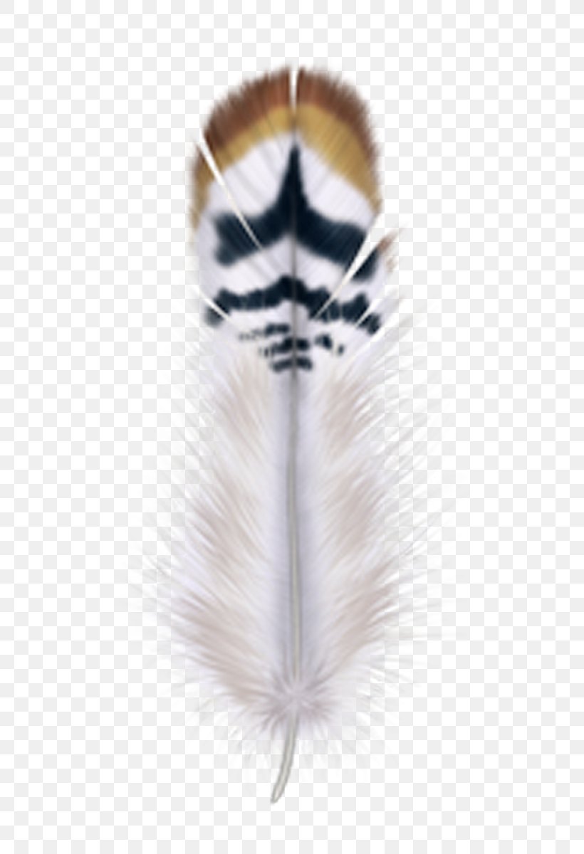 Bird Feather Drawing Clip Art, PNG, 700x1200px, Bird, Art, Drawing, Feather, Fur Download Free