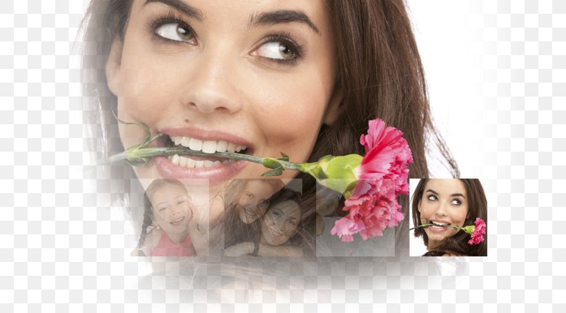 Lip Cheek Mouth Chin Jaw, PNG, 730x454px, Watercolor, Cartoon, Flower, Frame, Heart Download Free