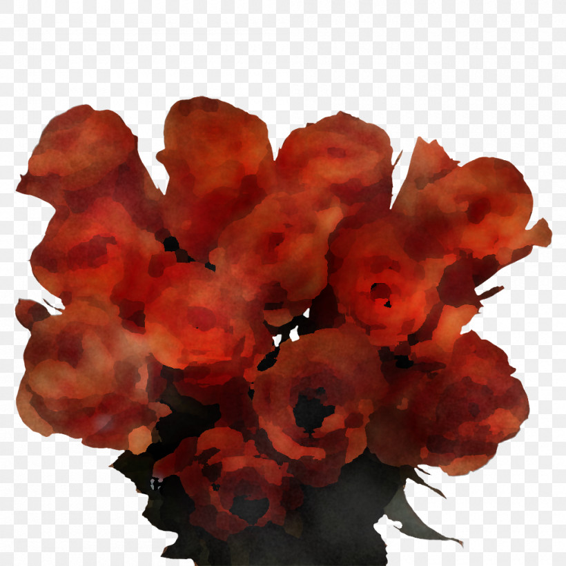 Petal, PNG, 1000x1000px, Petal Download Free