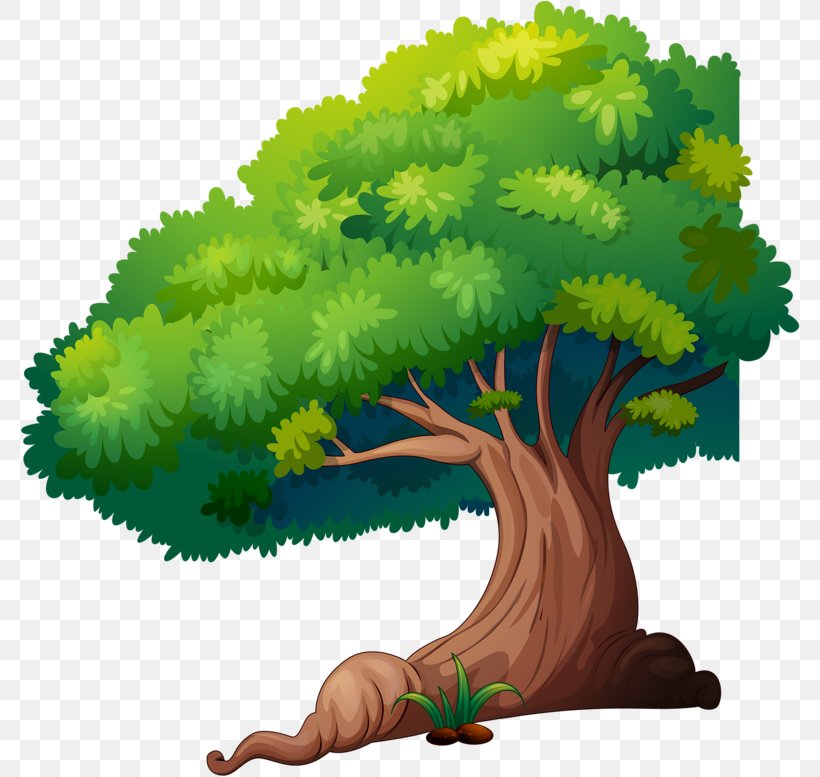 Vector Graphics Clip Art Illustration Free Content Drawing, PNG, 780x777px, Drawing, Arbor Day, Art, Botany, Grass Download Free