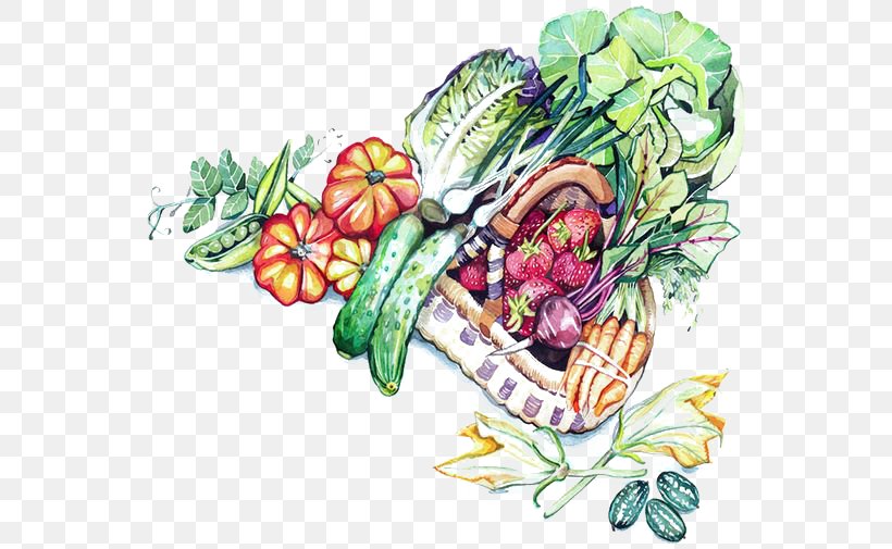 Vegetable Watercolor Painting Floral Design Illustration, PNG, 564x505px, Vegetable, Art, Cartoon, Creative Arts, Cucumber Download Free