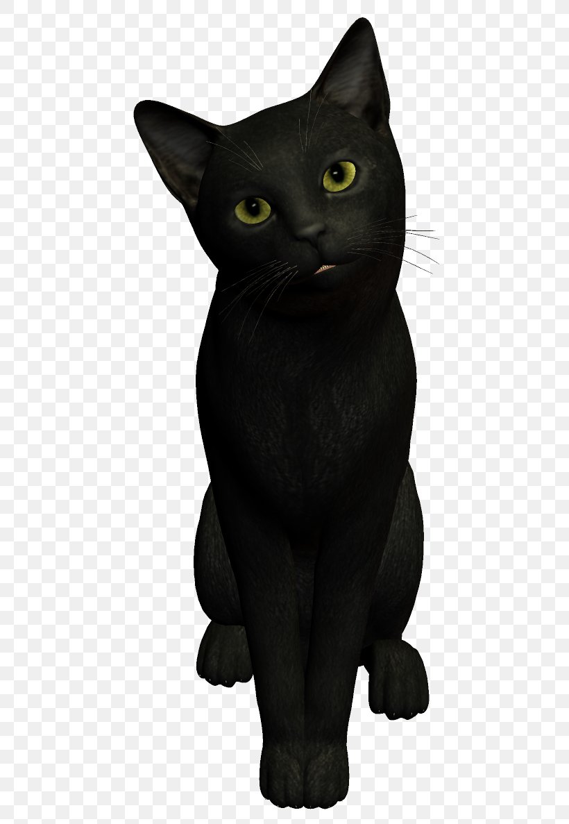American Shorthair Dog Black Cat, PNG, 498x1187px, American Shorthair, Black, Black Cat, Black Panther, Bombay Download Free