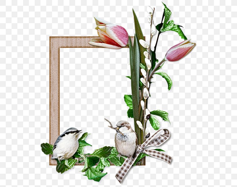 Background Flowers Frame, PNG, 550x646px, Floral Design, Anthurium, Arum, Arum Family, Branch Download Free
