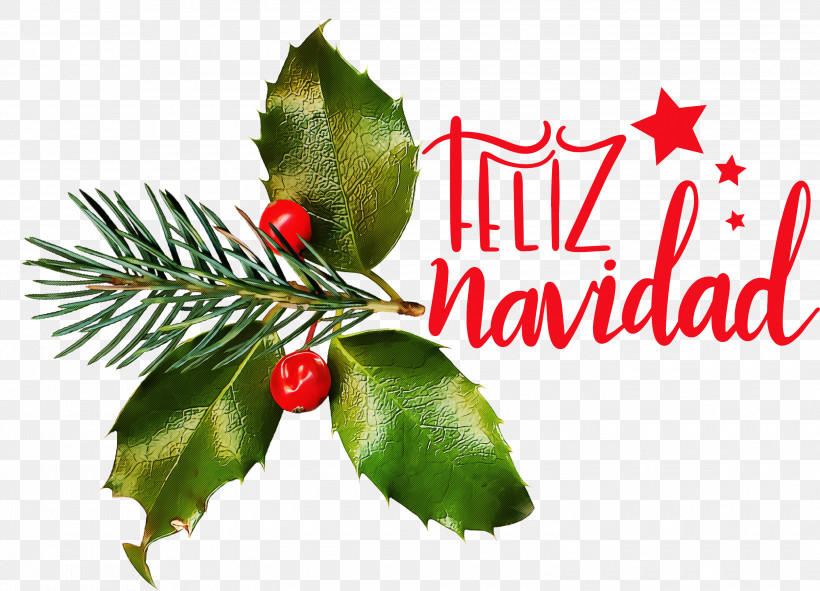 Feliz Navidad Merry Christmas, PNG, 3000x2164px, Feliz Navidad, Aquifoliaceae, Aquifoliales, Branch, Christmas Day Download Free