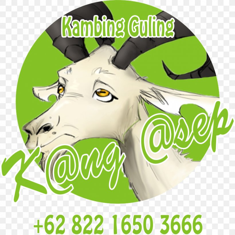 Logo Cattle Brand Goat Font, PNG, 857x858px, Logo, Brand, Cattle, Goat, Goats Download Free