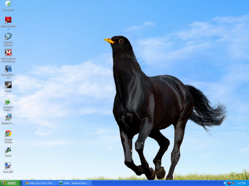 Arabian Horse Friesian Horse Pony Stallion Black, PNG, 1151x862px, Arabian Horse, Animal, Bay, Beak, Black Download Free