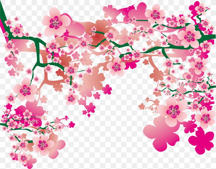 Cherry Blossom Drawing, PNG, 1691x1327px, Cherry Blossom, Blossom, Branch, Cherry, Drawing Download Free