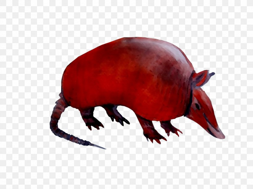 Computer Mouse Fauna Terrestrial Animal Snout, PNG, 1807x1355px, Computer Mouse, Animal, Animal Figure, Fauna, Snout Download Free