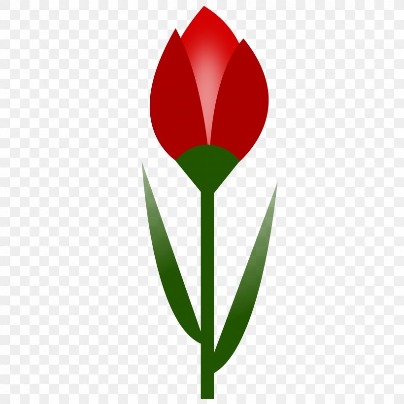 Flower Tulip Red Clip Art, PNG, 2400x2400px, Flower, Blog, Color, Drawing, Flowering Plant Download Free