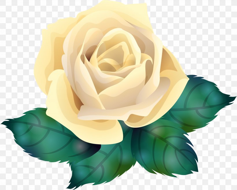 Garden Roses Centifolia Roses Flower Clip Art, PNG, 3936x3155px, Garden Roses, Centifolia Roses, Cut Flowers, Digital Image, Drawing Download Free