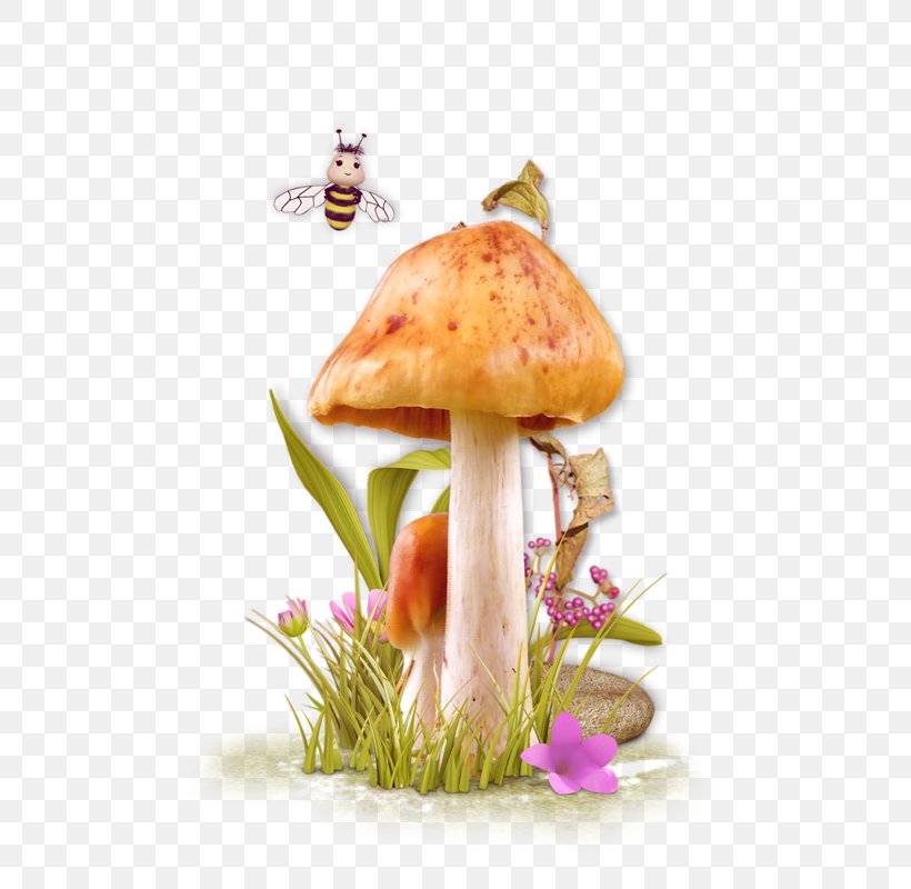 Mushrooms And Fungi Fungus Clip Art Mushrooms & Fungi, PNG, 602x800px, Mushroom, Blog, Centerblog, Depositfiles, Edible Mushroom Download Free