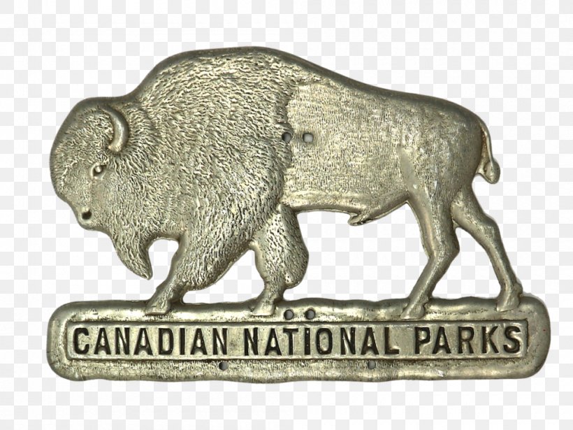 National Park Cattle Buffalo Pass Crowfoot Media Inc., PNG, 1000x750px, Park, Animal, Banff, Banff National Park, Canada Download Free