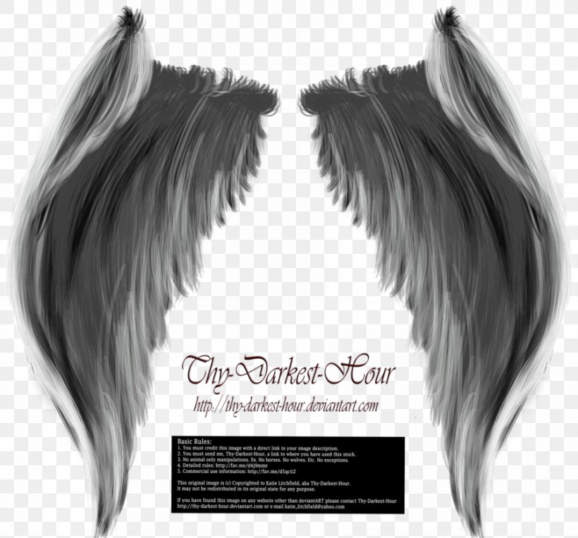Photography Art, PNG, 900x838px, Photography, Angel, Art, Artist, Black And White Download Free